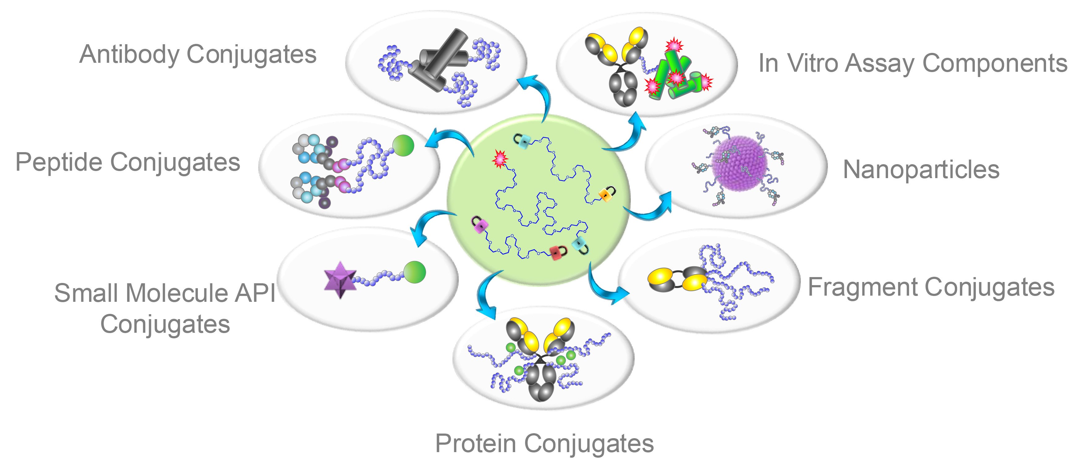 Application Workflow