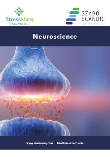 Brochures StressMarq Neuroscience