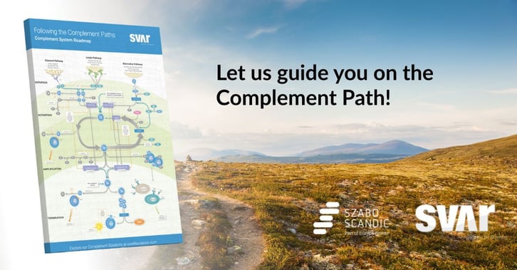 E-313-GB Roadmap Poster