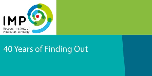 40 Jahre IMP – Wir sind dabei!