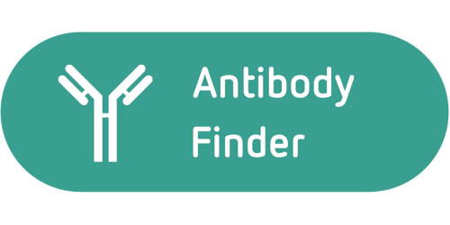 icons blog kalender 12MAR20264