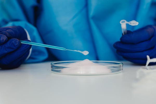 DNA purity is the foundation for downstream success