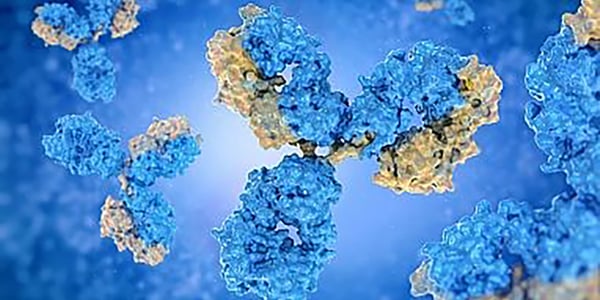 Polyclonal? Monoclonal? Recombinant antibodies!