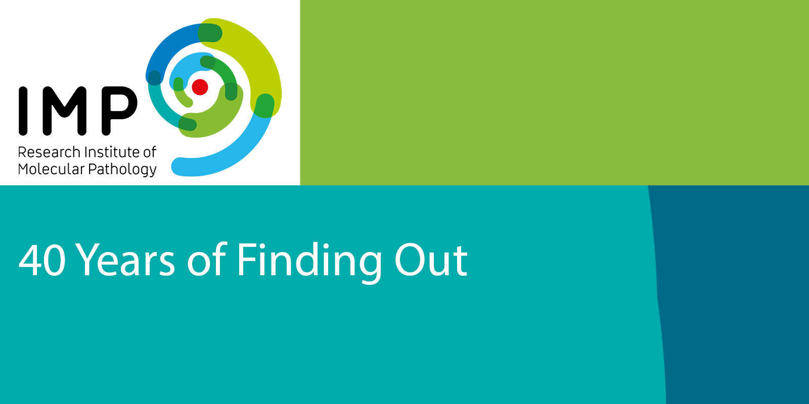 40 Jahre IMP – Wir sind dabei!