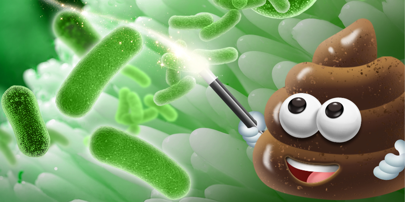 ZymoBIOMICS Gut Microbiome Standard