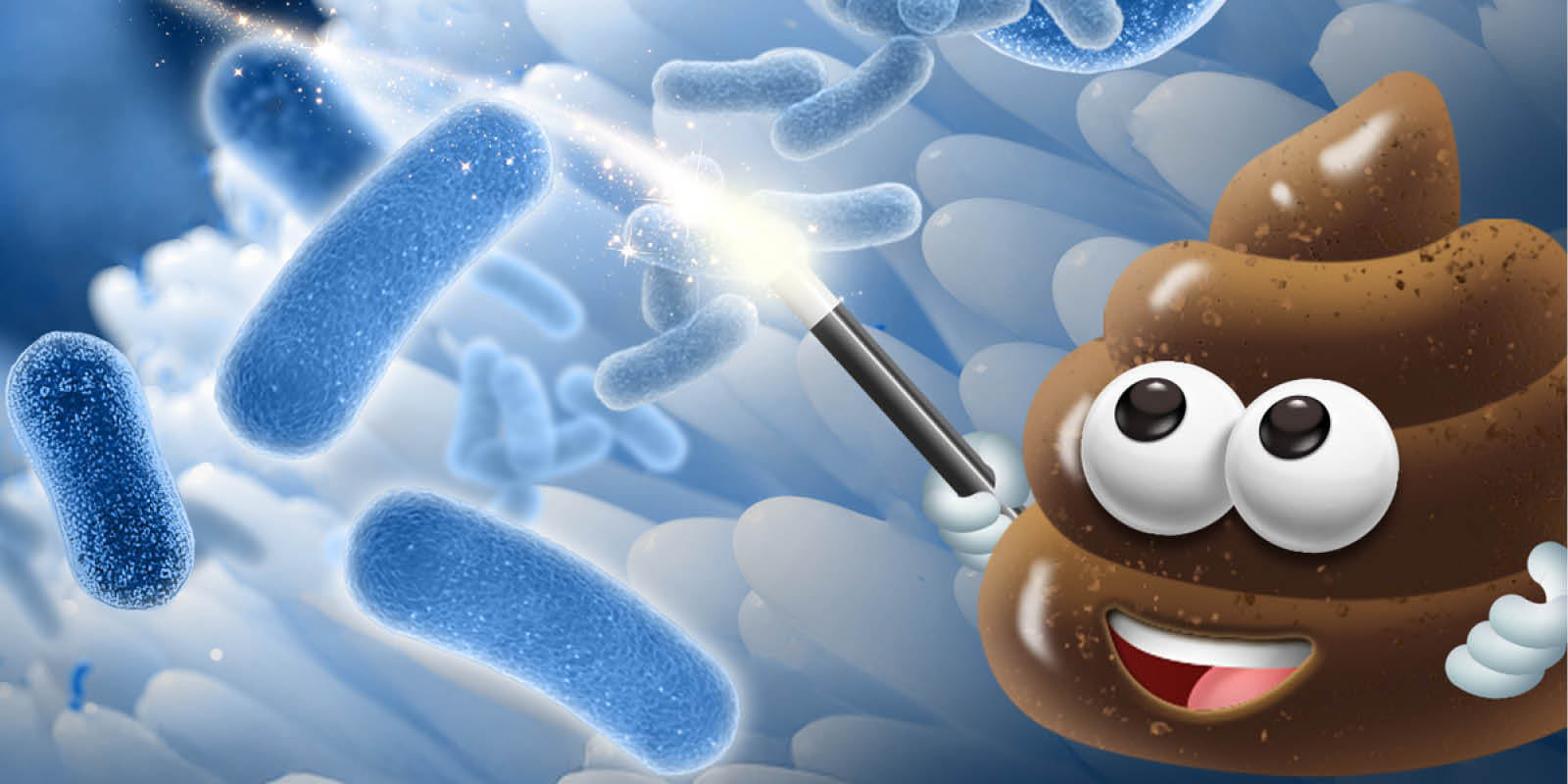 Fecal collection kits
