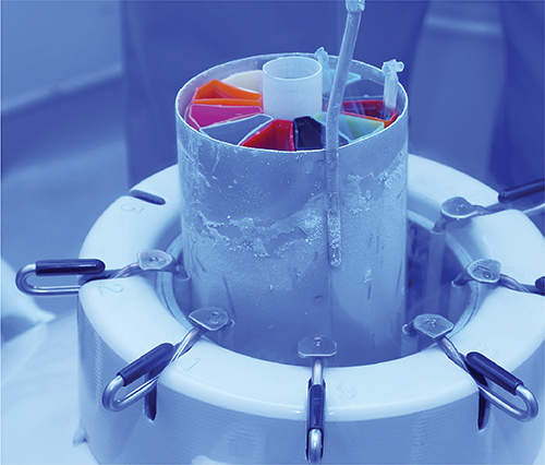 Cryopreservation Made Simple: Preserve Cells and Organoids with CELLBANKER®